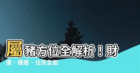 屬豬辦公桌方位|【屬豬方位】屬豬者的風水方位、樓層、住宅吉利指南